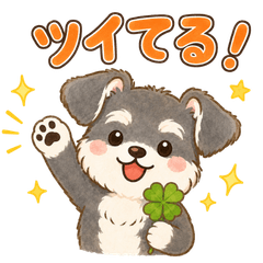 Spiritual Vibes! Kotodama Schnauzer