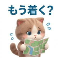 Traveling Cat001