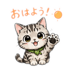 KOU_20260508213448