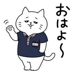 Nao Meow