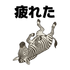 Zebra Stickers