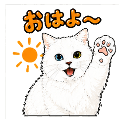 Shiro the Neat and Tidy Cat Stickers