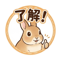 rabbitbaby_20260508232741