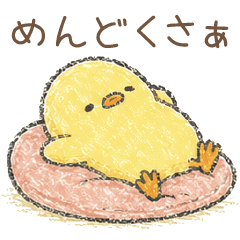 懒洋洋小啾的一天