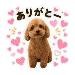 miku_20260509050926