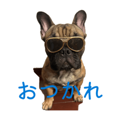 犬フレブルペット