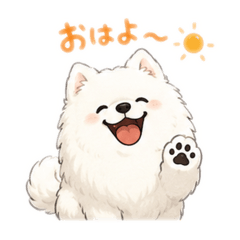 Fluffy  Samoyed
