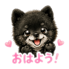 uschi_20260509053910