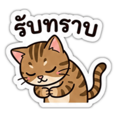 MizotheCat