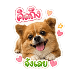 JEERY GOOD BOY