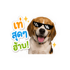 Suchanya_20260507201832