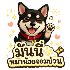 Money the Naughty Dog