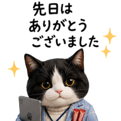 Working Cat Ran-chan: Office Stickers