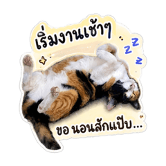 MALIMAEWJOHN
