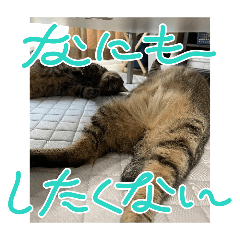 take_20260509080105