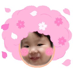 hina_20260509082727