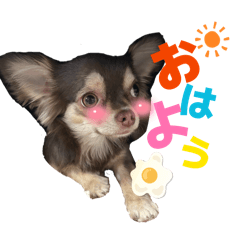 MAKI_20260509084105
