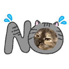 papipupeponpon