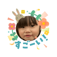 so_20260509084623