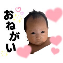moniho_20260509084712