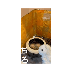 okojooon_20260510140147