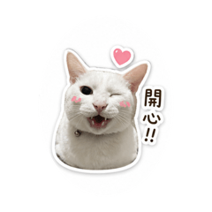 黃氏家族の寵物