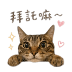 阿呼呼