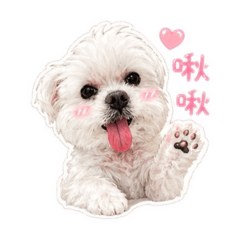 可愛的小不點兒～