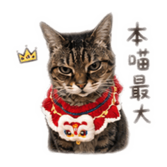 我家奇奇寶寶