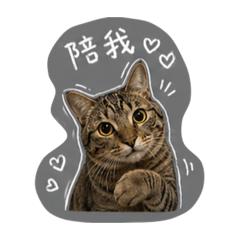 臭哈na