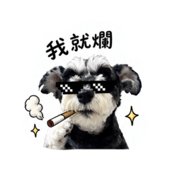 瘋狗泡芙3