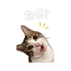 太郎的一些日常