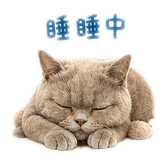 Lazy的雷吉君
