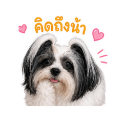 Naphatsaran Saetung_20260501191151
