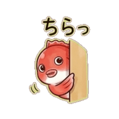 Tai-chan Daily Stickers for Every Moment