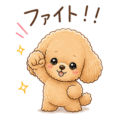 Fluffy Cute Toy Poodle Days