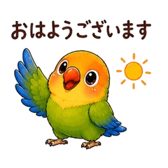 Everyday Polite Lovebird