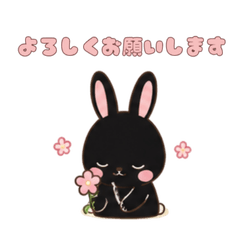 Black Bunny Days