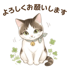 Daily Conversation Stickers *40Stickers*