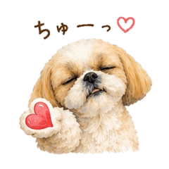 okome25_20260509005314