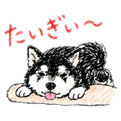 HACHIBEE_20260509005106