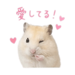 riho._.0520_20260509012808
