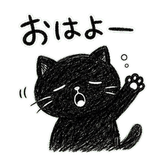 Scribbly Low-Pressure Black Cat