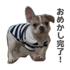 MoeKomatsu_20260509010958