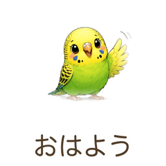 Naughty Parakeet Pee-suke | 40 Stickers