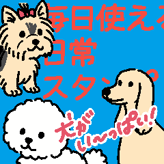 daily dog  sticker(dog dog dog)