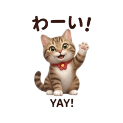 Daily Chat Stickers-mk6