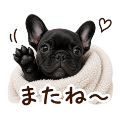 rina_20260509080623