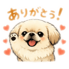 cute_20260509060931