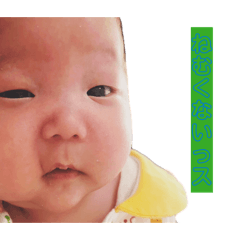 kotaro_20260509090527